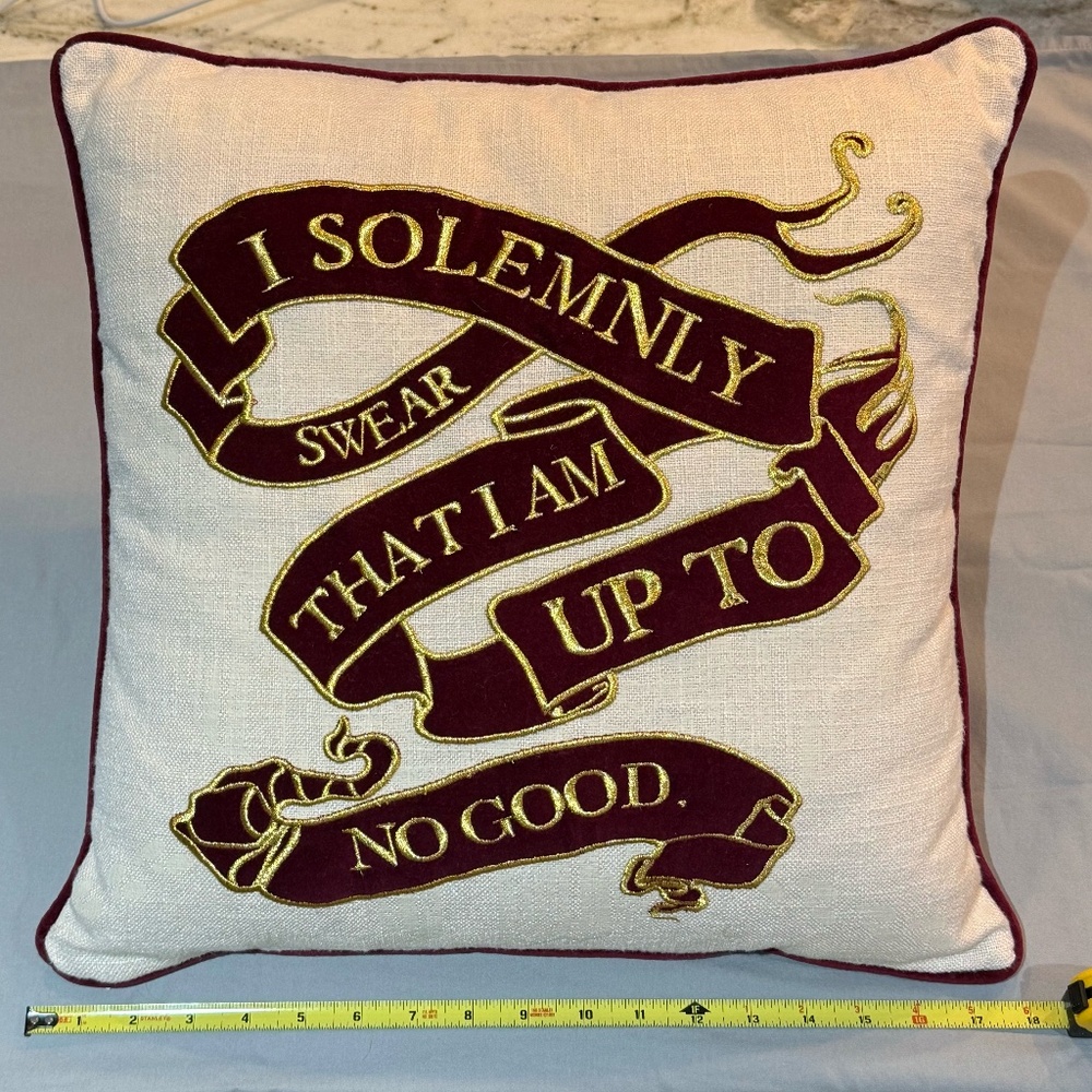 Harry Potter Pottery Barn Teen Pillow